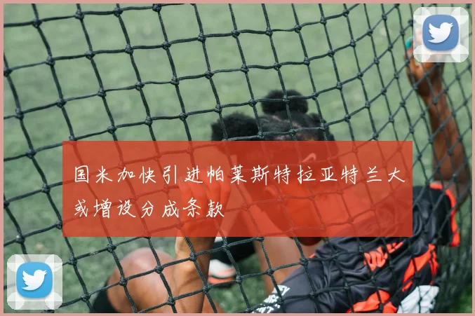 国米加快引进帕莱斯特拉亚特兰大或增设分成条款