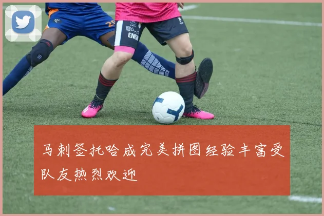 马刺签托哈成完美拼图经验丰富受队友热烈欢迎